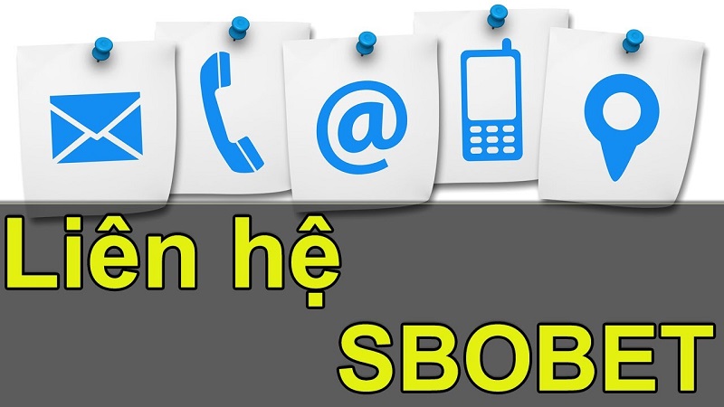 Dịch vụ hỗ trợ tại Sbobet cho người chơi chuyên nghiệp