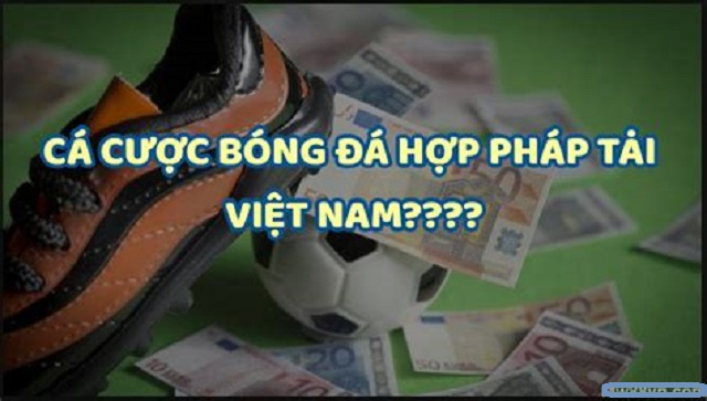 Cá độ online ở Việt Nam được nhận định như thế nào?